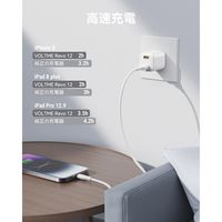 VOLTME USB充電器 TypeA 12Wx2 ホワイト 折りたたみ式 V2078 1個