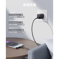 VOLTME USB充電器 TypeA 12Wx2 ブラック 折りたたみ式 V2077 1個