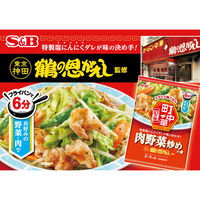 町中華 肉野菜炒めの素 64g 1個 エスビー食品 時短 料理の素 S＆B