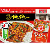 町中華 ピリ辛肉あんかけ飯の素 1個 エスビー食品 時短 料理の素 S＆B