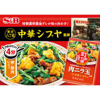 町中華 ニラ玉の素 1個 エスビー食品 時短 料理の素 S＆B