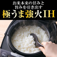 タイガー魔法瓶 IHジャー炊飯器 JPW-Y180KV 1台