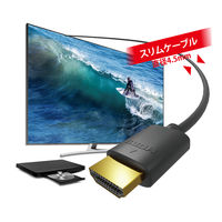 ナカバヤシ HDMIケーブル Ver1.4 1m HDC-H10/BK 1本