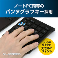 ナカバヤシ 2.4GHz接続ワイヤレステンキー TEN24G03/BK 1個