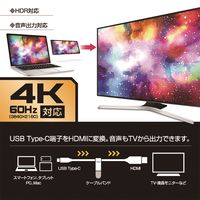 ナカバヤシ Type-C HDMIケーブル 4K60Hz対応 2m USD-4K20BK 1本