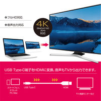 ナカバヤシ Type-C to HDMIケーブル 1m USD-FH10/BK 1本