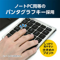 ナカバヤシ 2.4GHz接続ワイヤレステンキー TEN24G03/SL 1個