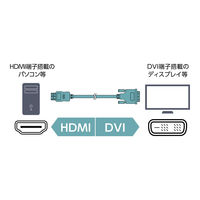 ナカバヤシ HDMI-DVI 変換ケーブル 3m VDH-30/BK 1本