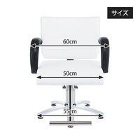 スタイリングチェア ST-629 オフホワイト (座面部分 + ベース) 特別セット 27430-SET-1 1台（直送品）