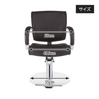 SEVEN BEAUTY (セブンビューティー) スタイリングチェア CURVE ダークブラウン 37410 1台（直送品）