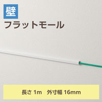 配線カバー 壁用 モール ( 長さ1m × 幅16mm ) フラット ホワイト LD-GAF1MWH エレコム 1個（直送品）