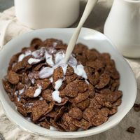 日食 Feel&Green おいしいコーンフレーク　ビターなチョコレート 140g　1袋 コーンフレーク 日本食品製造