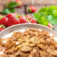 日食 Feel&Green おいしいコーンフレーク 甘ずっぱいストロベリー 140g 1袋 コーンフレーク 日本食品製造