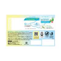 オーカ デリケートウェットコットンシート 15枚入 1セット（1個×2）大一紙工