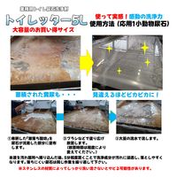 トイレッター 5L 1本 業務用トイレ尿石洗浄剤 尿石落とし 日生クリーン