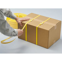 司化成工業 「現場のチカラ」 PPバンド 手巻き用 幅15mm×1000m巻 黄色 TPY 1巻 オリジナル（わけあり品）