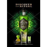 コカレロ クラシコ 29度 375ml 1本 国分 リキュール