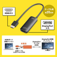 サンワサプライ HDMI-DisplayPort変換アダプタ(4K/60Hz) AD-HD31DP 1個（直送品）