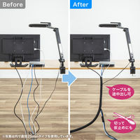 サンワサプライ 編組ケーブルスリーブ(ブラック・2m巻き・内寸直径19mm) CA-SL19BK2 1個