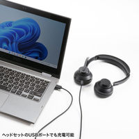 サンワサプライ Bluetoothステレオヘッドセット(クレードル付き・デュアルマイク) MM-BTSH70BK 1個