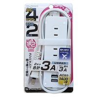 カシムラ USBポート付電源ACタップ AC-045 1台