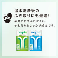 王子ネピア ネピアプレミアムソフトトイレットロール1.8倍巻ダブル54M 4901121273808 1個(12巻)