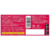 男梅シート（ボトルタイプ）75g 1セット（1個×4） ノーベル製菓