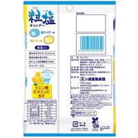 塩分補給 キャンディー 個包装 粒塩キャンデー 塩サイダー味&塩レモン味 2種アソート 10袋 扇雀飴本舗