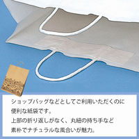 シモジマ 25チャームバッグ 2才 ニュータウン B 003201300 1袋(50枚)