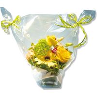 オーセロ OPPフィルムロール #40 500mm×30m 006777345 1袋