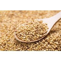 胡麻焼酎　香ばしい胡麻焼酎 25度 1.8L パック 1本 紅乙女酒造　ごま