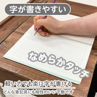 共栄プラスチック 下敷 しっかりシタ字キ A4 方眼/無地リバーシブル メロン SHS-A4-01 1枚