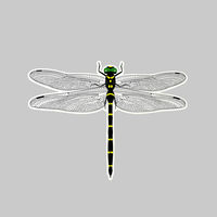 光 【虫よけ】オニヤンマシール TOB-90 1パック(6枚入)