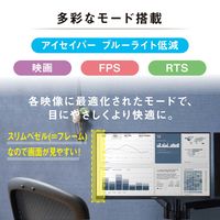 アイリスオーヤマ 23.8インチ液晶モニター ILD-D23FHT-B 1台