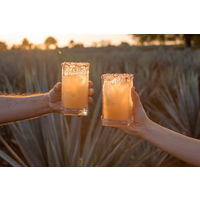 オルメカ アルトス レポサド プレミアムテキーラ 38度 700ml 1本 100％アガベ バニラと樽の香り ペルノ・リカール