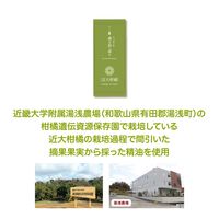 溝端紙工印刷 ニッポンの香るおしぼり アソート 1パック（15枚入）