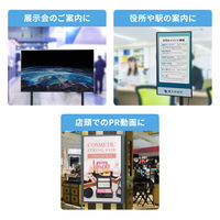 メディアプレーヤー MED-PL2K102 1個 サンワサプライ（直送品）