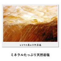 LOGOS 岩塩プレート 81065990 LOGOS/ロゴス