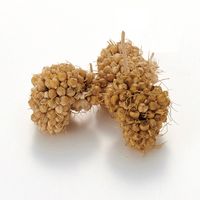 ミニマルランド 小動物用 つみたてあわ玉 45g 1袋 マルカン 小動物 おやつ