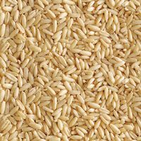 ミニマルランド 小動物のおいしいムキエン麦 無添加 400g 1袋 マルカン おやつ