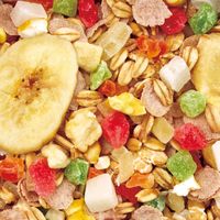 ミニマルランド 小動物用 フルーツいっぱいオートミール 毛玉ケア 180g 1袋 マルカン おやつ