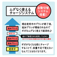 DHA Corporation DHAクラウドWiFiルーター + 30GB365日国内通信パック DHA-RTR-038 1台