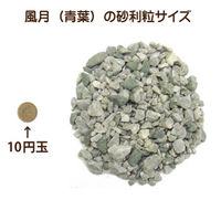 昭光物産(株) 砕石 風月(青葉) 10kg 505101 1セット(3袋)（直送品）