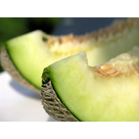 くだものの山長 高知県産マスクメロン 1玉(化粧箱) 4582626933130 1箱（直送品）