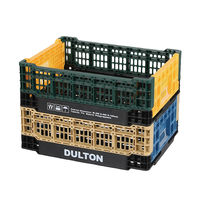 フォールディング メッシュ ストレージ 11L コヨーテ / ブルー V21-0346CO/BL DULTON/ダルトン