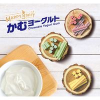 ハッピー・スリーフェアリー かむヨーグルト 青リンゴ 90g（14本入）1袋 フォーキャンス