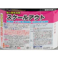 スケールアウト 強力酸性洗剤 4L 1セット（1本×4） ラグロン