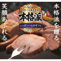 日本ハム ハムギフト 本格派 NH-513 のし付き お中元 ギフトセット 901047000 1セット（直送品）