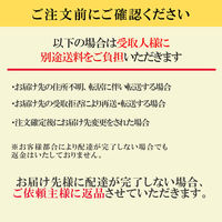 日本ハム ハムギフト 本格派 NH-427 のし付き お中元 ギフトセット 901046999 1セット（直送品）