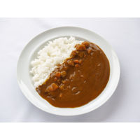 創健社 ベジタブルカレー 動物性原料・着色料不使用 中辛 210g 1個 レトルト